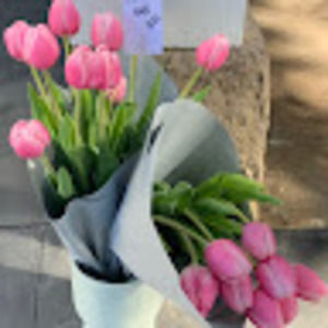 Meet your Posher, Tamar